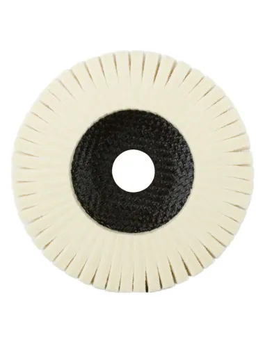 RHODIUS FLS H25 para uso con pasta azul en acabado brillante